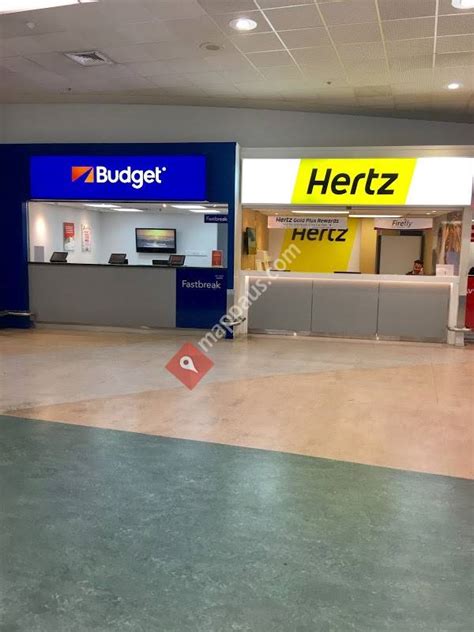 budget auckland airport car rental.